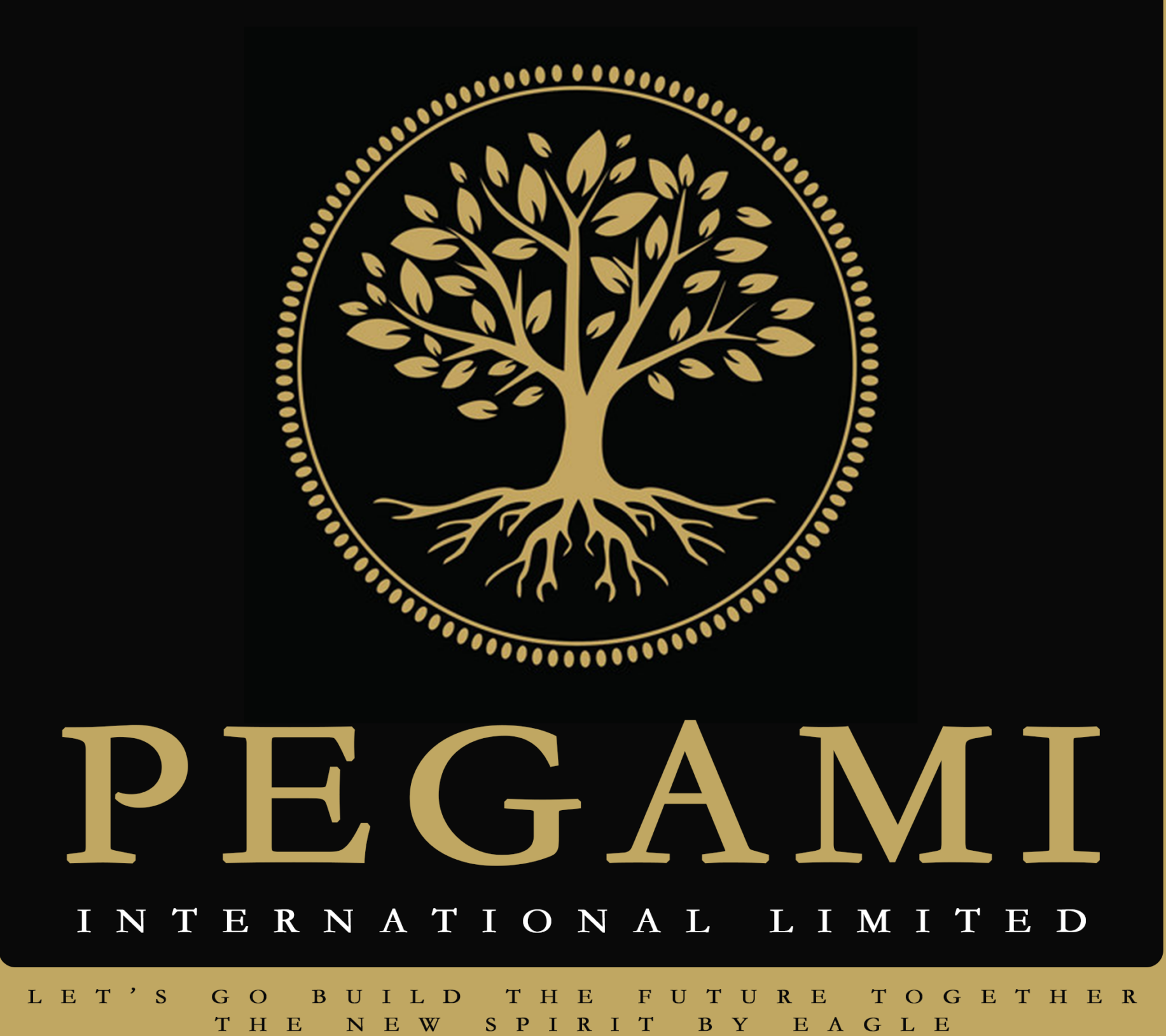 PEGAMI INTERNATIONAL