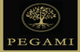 PEGAMI INTERNATIONAL